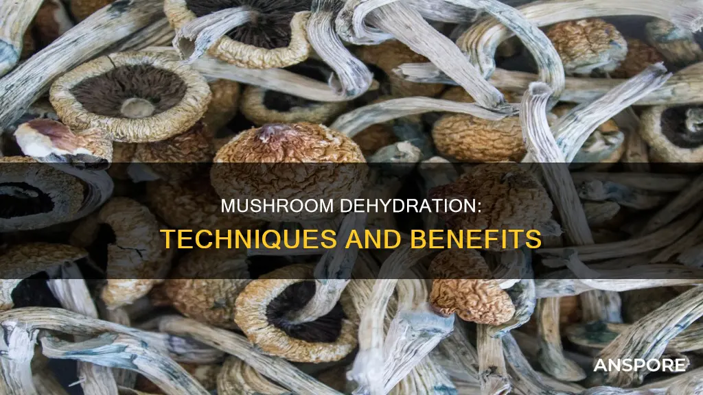 how are mushrooms dehydrated