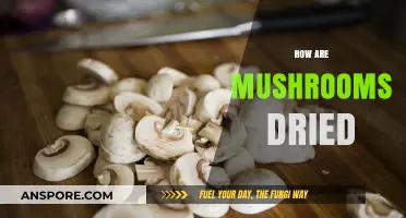The Art of Drying Mushrooms: Techniques and Tips
