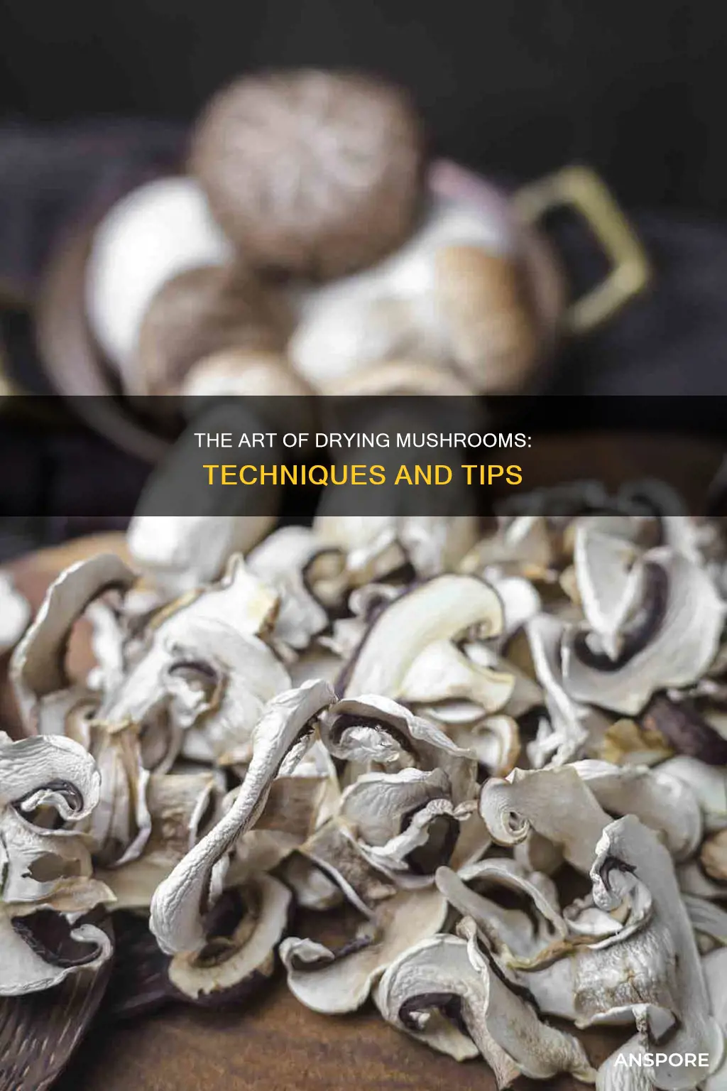 how are mushrooms dried