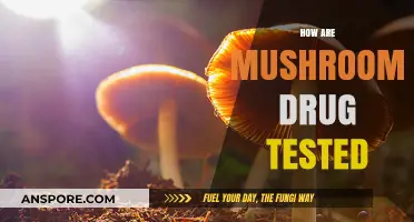 Mushroom Drug Testing: The Science Behind It