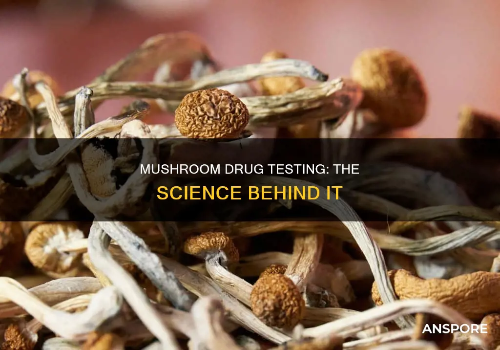 how are mushrooms drug tested