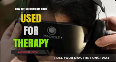 Mushrooms as Medicine: Exploring Psychedelic Therapy's Healing Potential