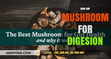 Mushrooms: Superfood for Gut Health and Digestion