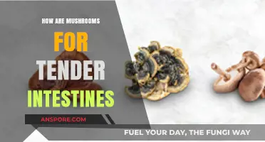 Mushrooms: Tender Tummy Superfood?