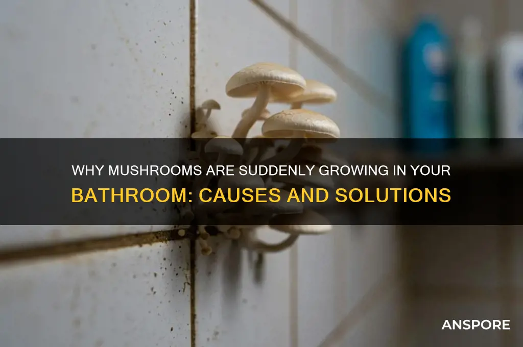 how are mushrooms growing in my bathroom