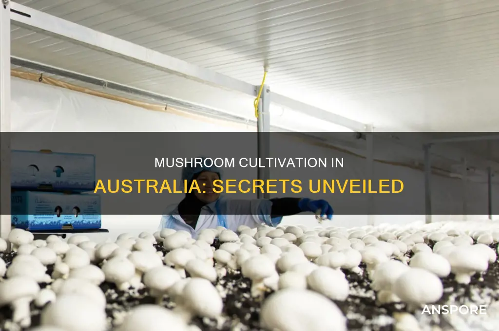 how are mushrooms grown in australia