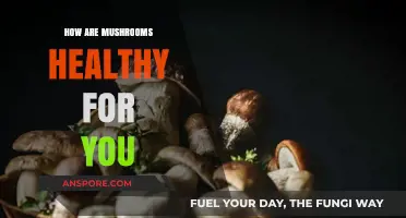 Mushrooms: Superfood for Your Health