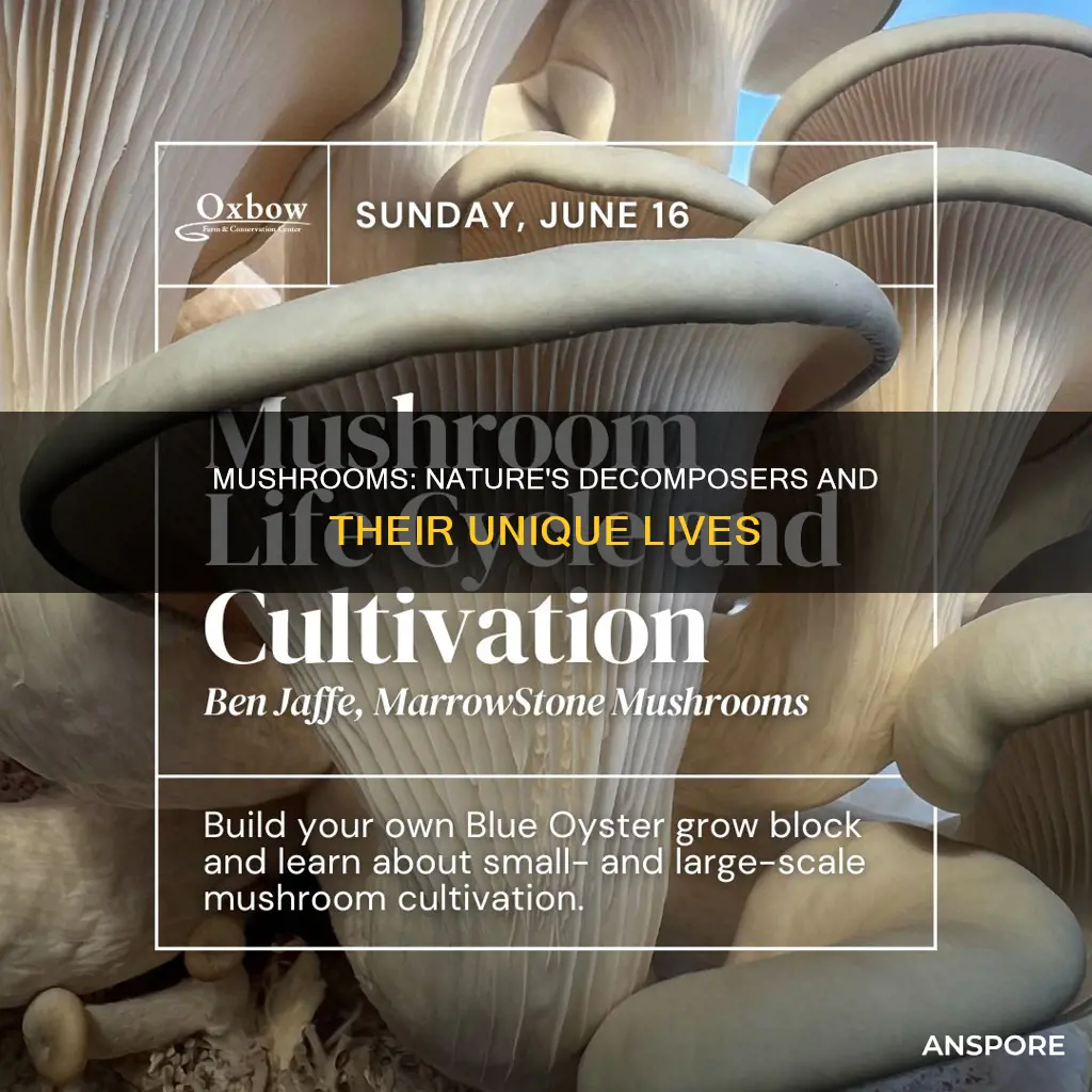 how are mushrooms living