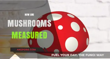 Mushroom Measurement: Understanding the Standard Units
