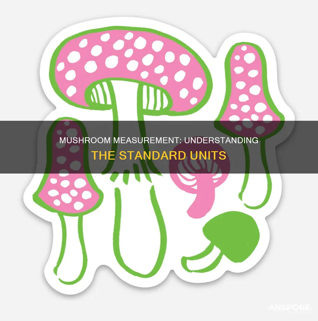 how are mushrooms measured