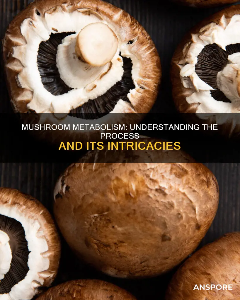 how are mushrooms metabolized