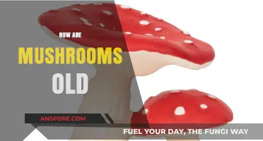 Mushrooms: Ancient Fungi with a Long History