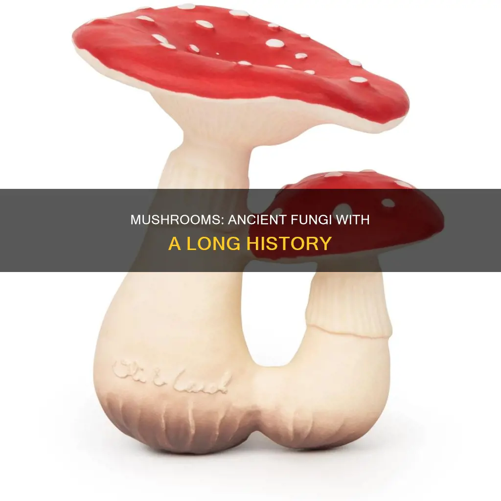 how are mushrooms old