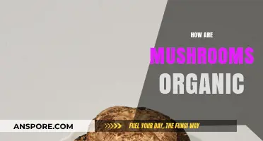 Mushrooms: Nature's Organic Superfood
