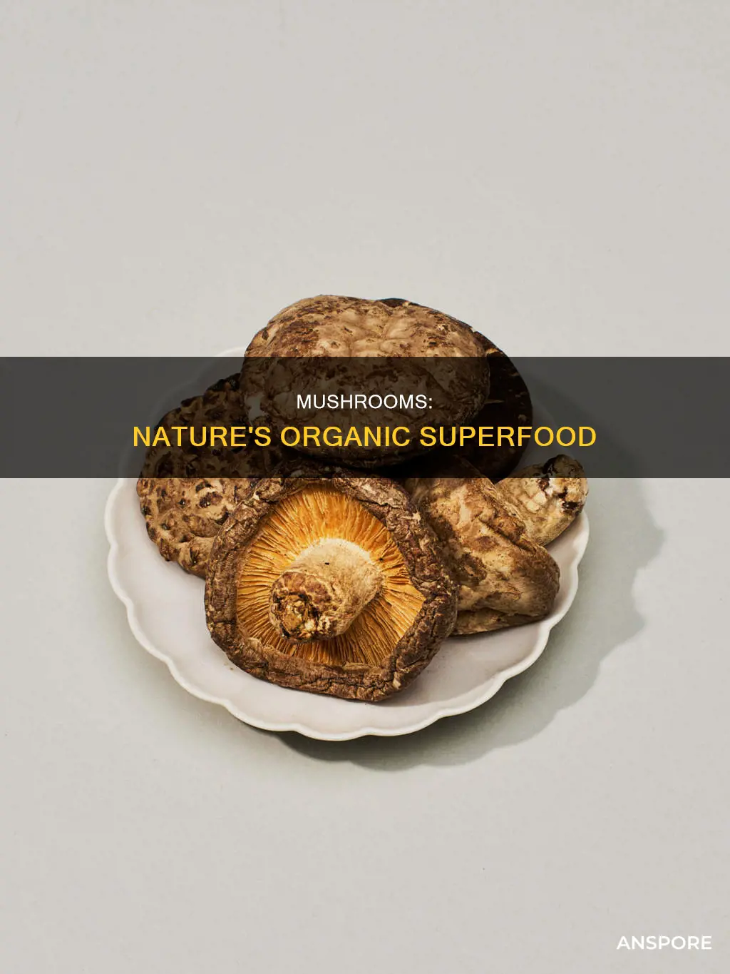 how are mushrooms organic