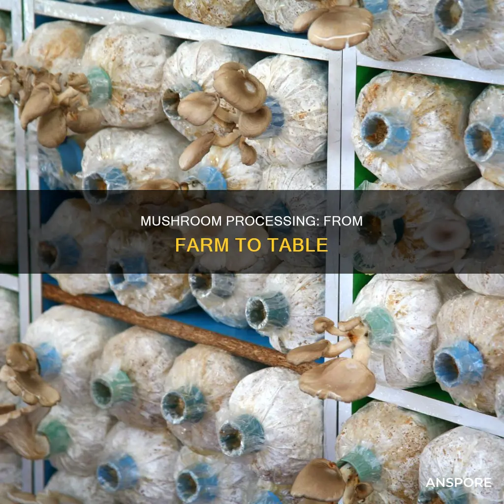 how are mushrooms processed