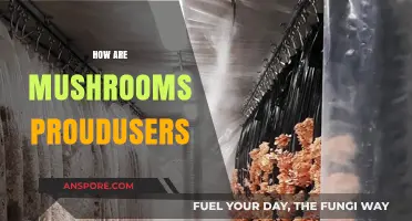 Mushrooms: Nature's Proud Producers