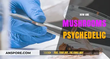 Mushrooms' Psychedelic Powers: A Natural High Explained