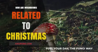 Mushrooms: A Christmas Tradition's Ancient Roots