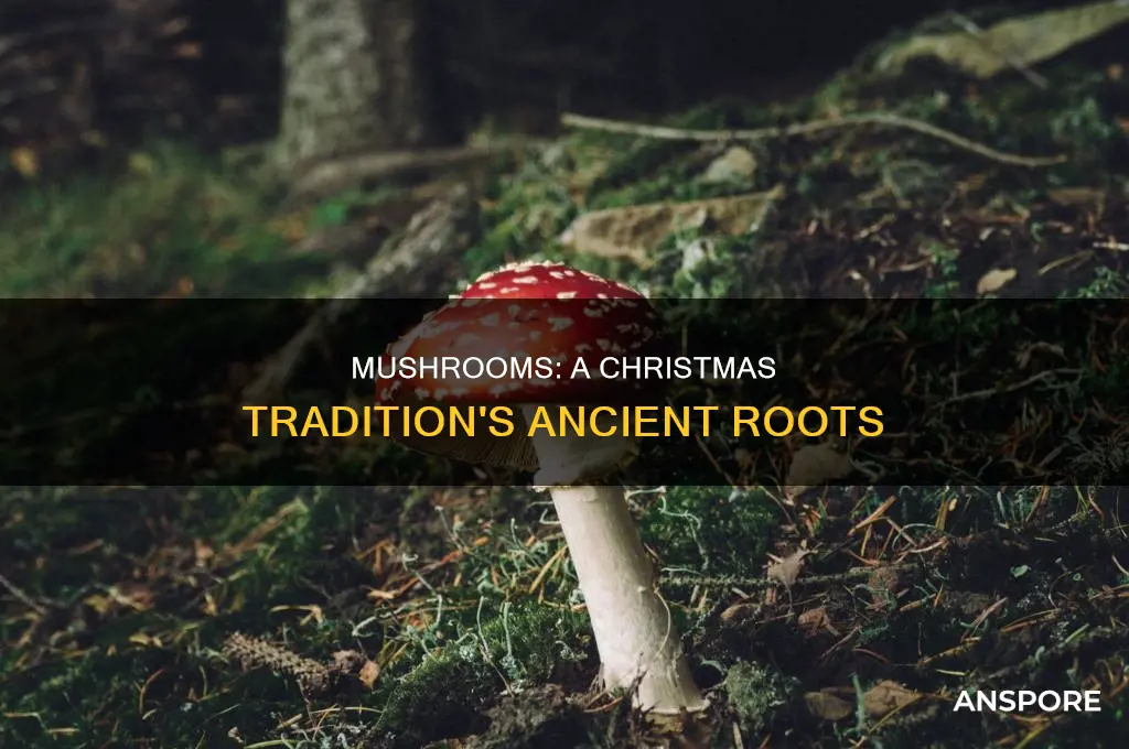 how are mushrooms related to christmas