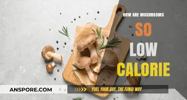 Mushrooms: Nutritious, Low-Calorie Superfood