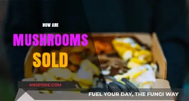 Mushroom Sales: Fresh, Dried, or Canned?