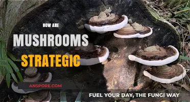 Mushrooms: Nature's Strategic Superfood
