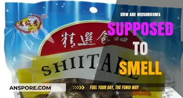 Mushroom Scents: What's That Aroma?