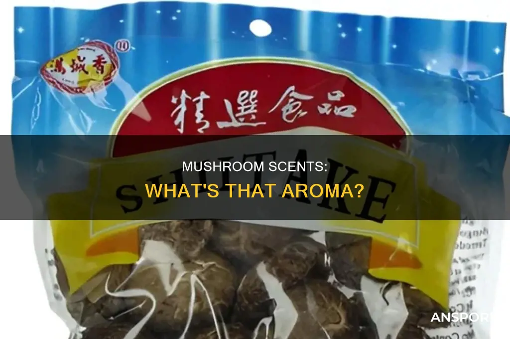 how are mushrooms supposed to smell