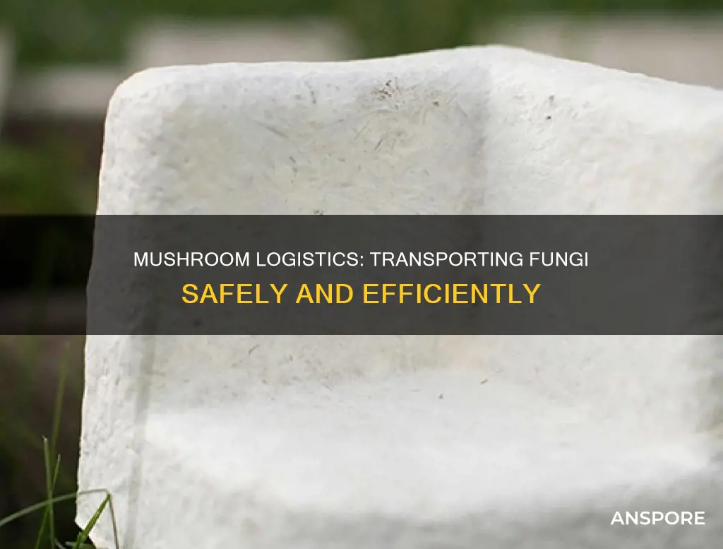 how are mushrooms transported