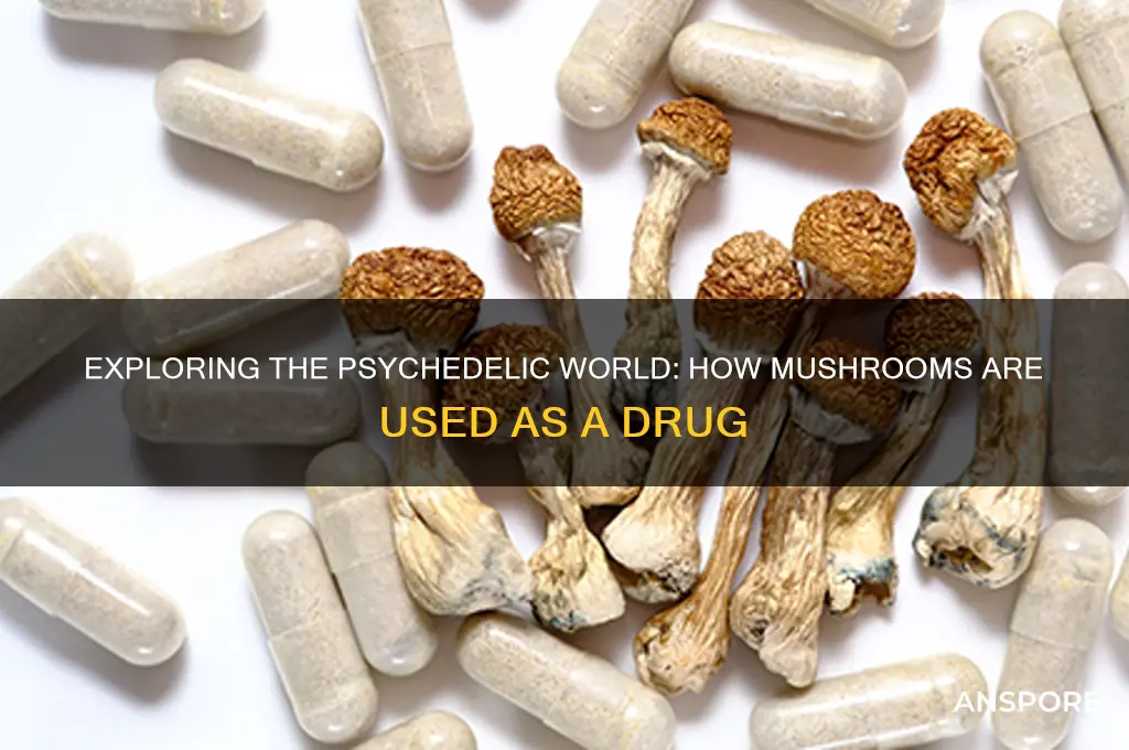 how are mushrooms used as a drug