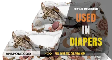 Mushrooms in Diapers: Eco-Friendly Absorbent Innovation Explained