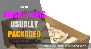 Mushroom Packaging: Sustainable and Fresh Solutions