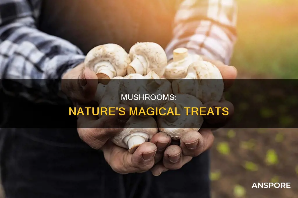 how are mushrooms