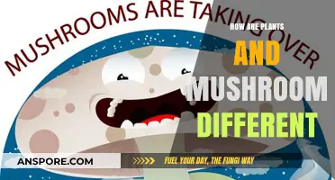 Mushrooms vs Plants: What's the Real Difference?