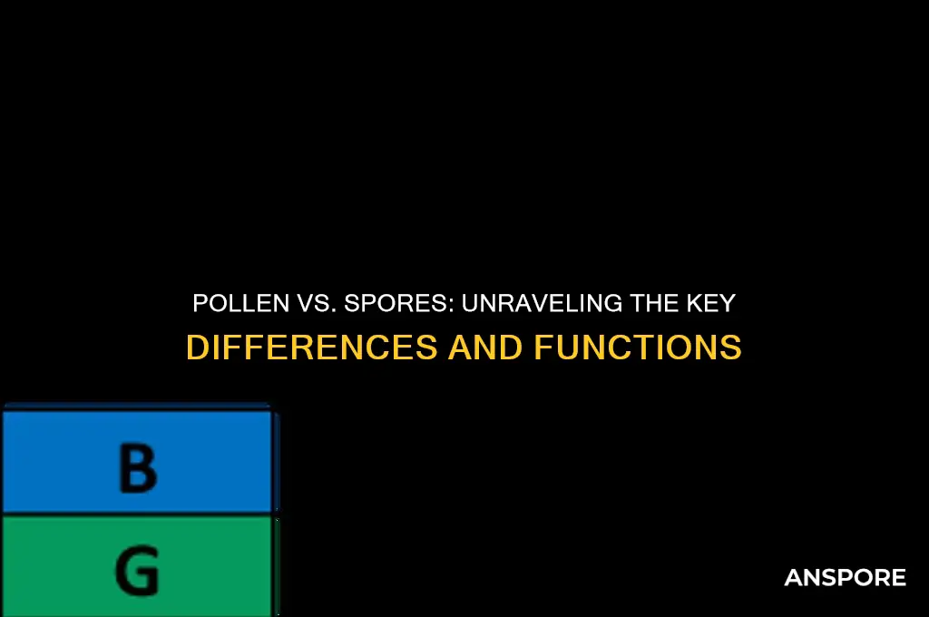 how are pollen and spores different