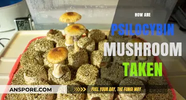 Explore Psilocybin Mushrooms: Methods of Ingestion