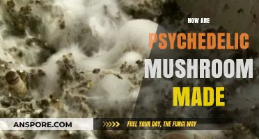 The Magic Behind Psychedelic Mushrooms