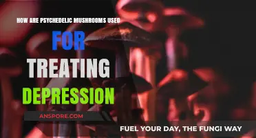 Psychedelic Mushrooms: A New Frontier in Depression Treatment?