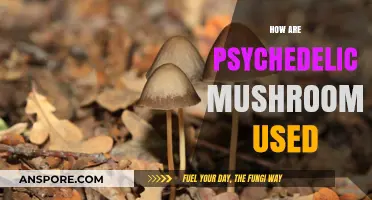 Exploring Psychedelic Mushrooms: Uses, Effects, and Cultural Significance
