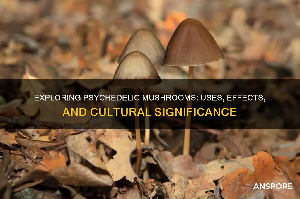 how are psychedelic mushrooms used