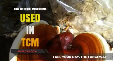 Reishi Mushrooms in TCM: Ancient Uses and Modern Applications