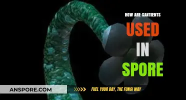 Exploring the Role of Sentients in Spore's Galactic Civilization