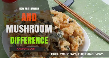 Seaweed vs Mushroom: Unveiling the Differences