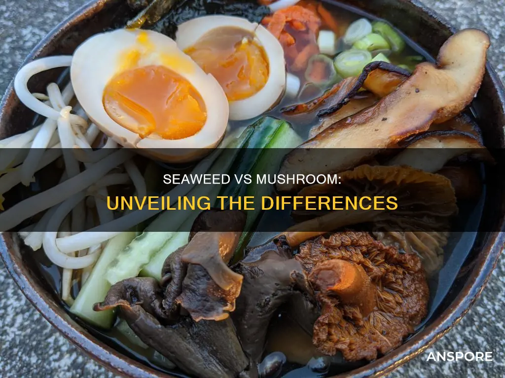 how are seaweed and mushroom difference