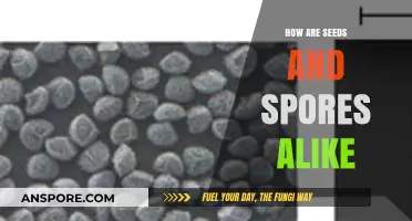 Seeds vs. Spores: Unveiling the Surprising Similarities in Plant Reproduction