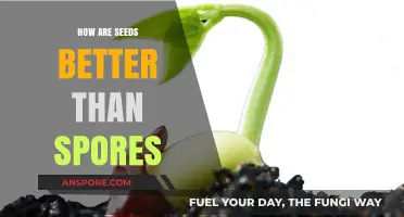 Seeds vs. Spores: Unlocking the Superior Advantages of Seed Reproduction