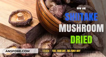 Shiitake Drying: Techniques and Benefits