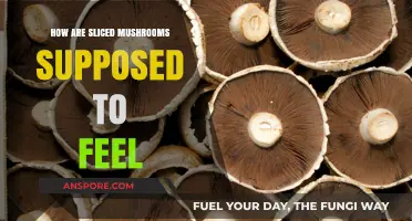 Mushroom Slices: What's the Right Texture?