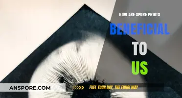 Unlocking Nature's Secrets: Spore Prints and Their Practical Benefits